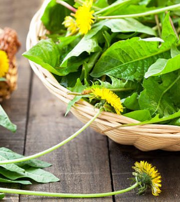 Edible dandelion weed picked and placed on top of a table